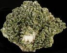 Lustrous, Epidote Crystal Cluster - Morocco #40880-1